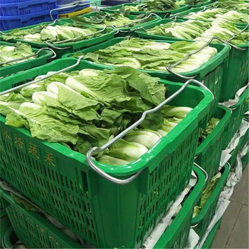 农产品批发案例解析：如何构建高效供应链